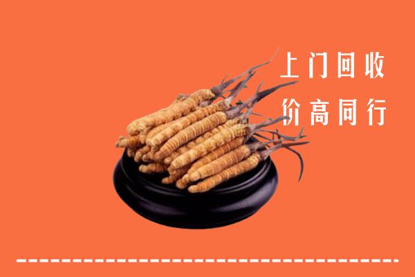 高价求购：阳山县回收散虫草