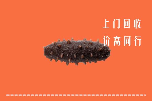 高价求购：阳山县回收海参