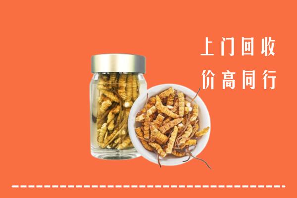 阳山县回收冬虫夏草